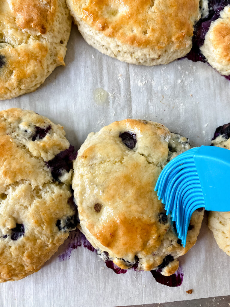 blueberry biscuits on theaffordablefoodie.com