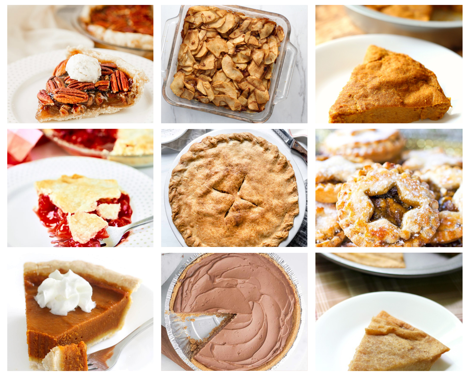 17 Ways to Make a Vegan Pie Recipe on www.theaffordablefoodie.com