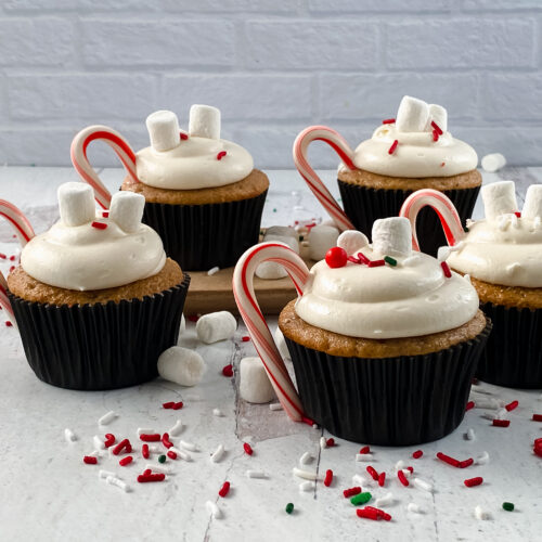Hot Chocolate Cupcake Recipe at www.theaffordablefoodie.com