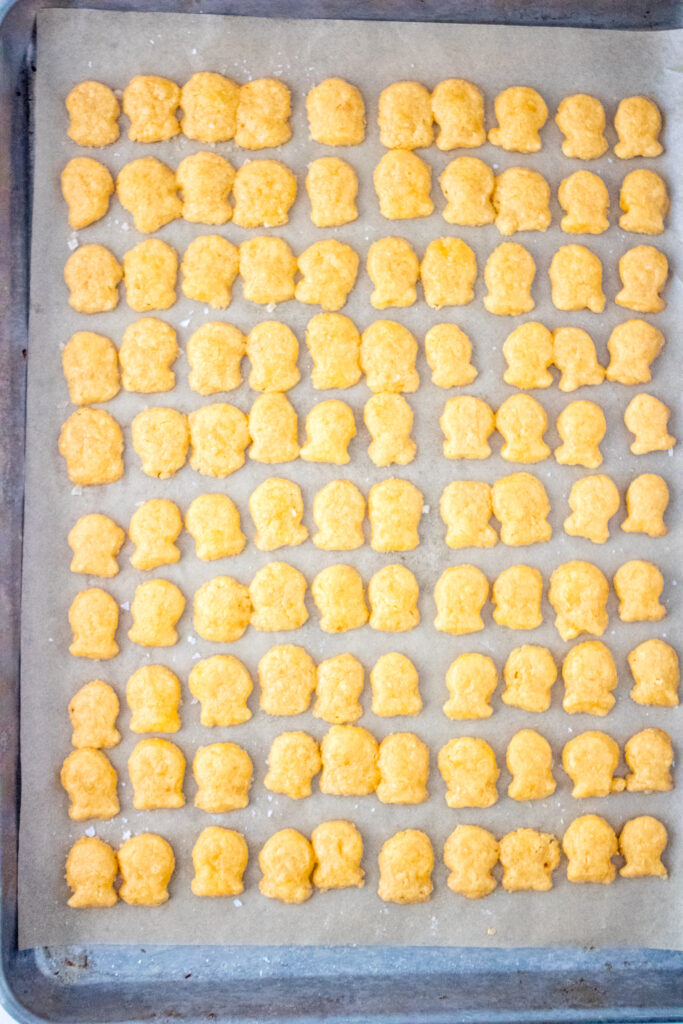freshly baked gold fish crackers